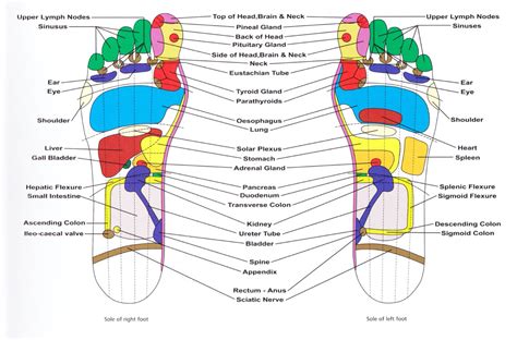 reflexologists near me